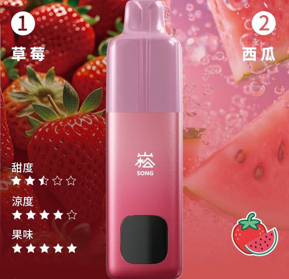 崧双口味电子烟 - 崧A66 SONG A66 - 双仓双萃激爽果味 草莓西瓜 图片6 - RELX.HK